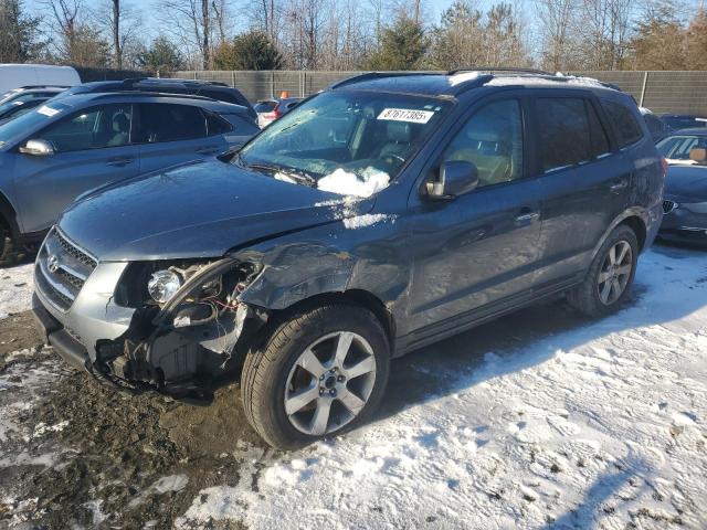 HYUNDAI SANTA FE S 2007 with VIN 5NMSH73E97H126451 - Photo from auction