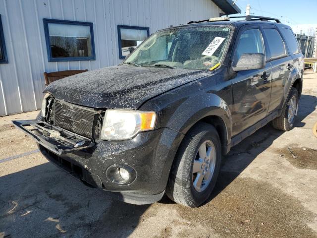 FORD ESCAPE XLT 2011 with VIN 1FMCU0DG7BKA54293 - Photo from auction