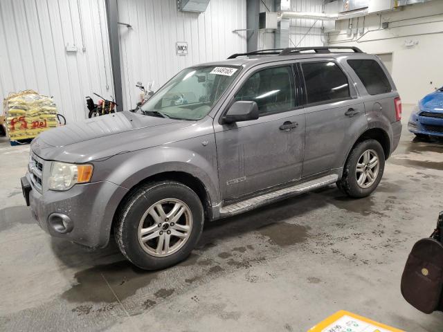 FORD ESCAPE XLT 2008 with VIN 1FMCU93148KE44035 - Photo from auction