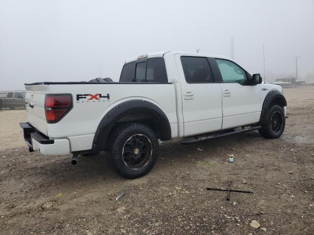 Photo 3 from auction – 2010 FORD F150 SUPER with VIN 1FTFW1EV6AKE58456