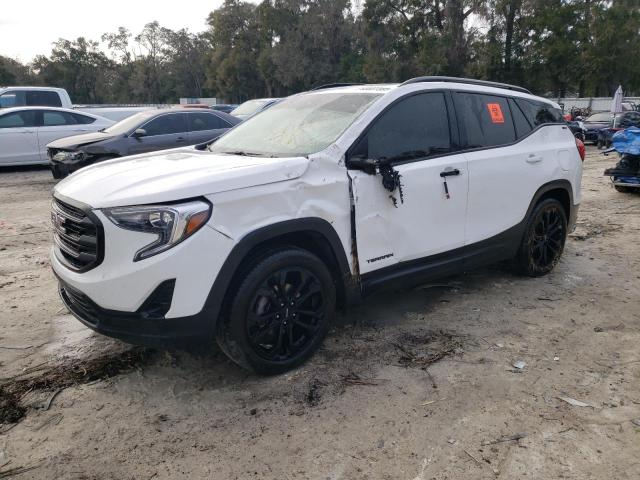 GMC TERRAIN SL 2020 with VIN 3GKALVEV3LL303850 - Photo from auction