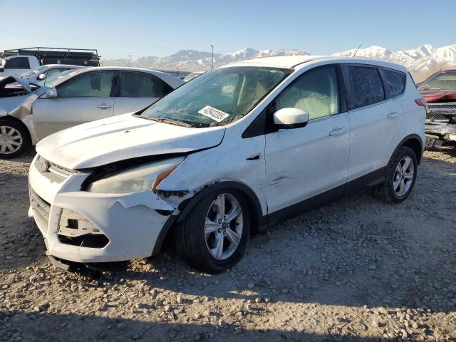FORD ESCAPE SE 2014 with VIN 1FMCU9G97EUE41291 - Photo from auction