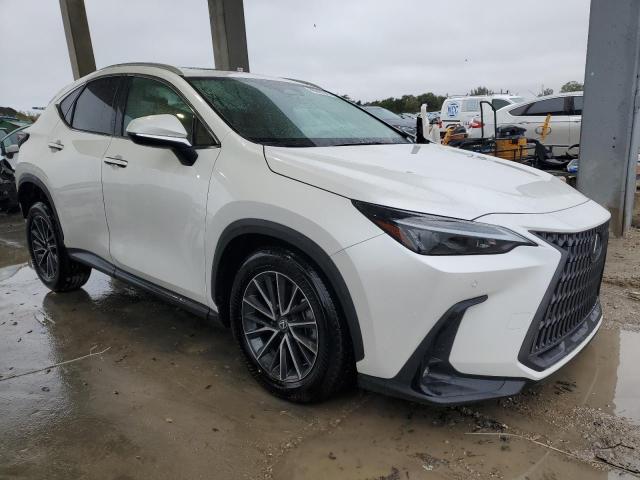 Photo 4 from auction – 2024 LEXUS NX 250 PRE with VIN 2T2GDCAZ2RC012246