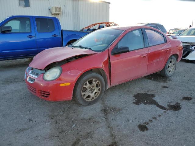 DODGE NEON 2003 with VIN 1B3ES56C83D173102 - Photo from auction