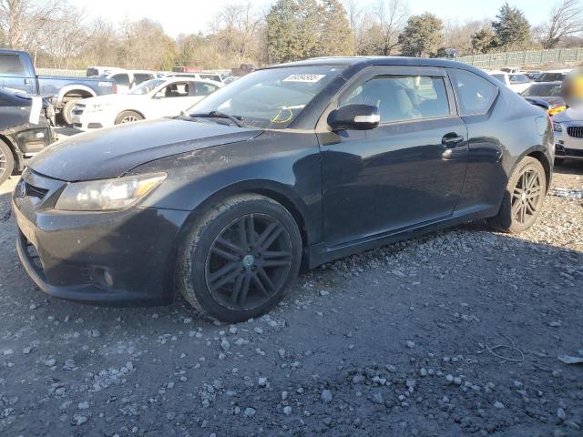 TOYOTA SCION TC 2013 with VIN JTKJF5C78D3061831 - Photo from auction
