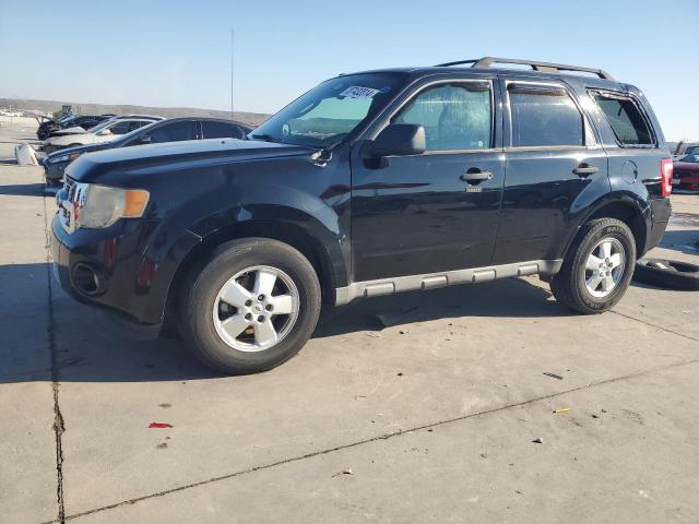 FORD ESCAPE XLT 2009 with VIN 1FMCU03789KB87107 - Photo from auction
