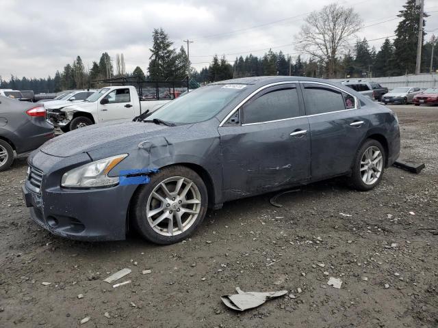 NISSAN MAXIMA S 2013 with VIN 1N4AA5APXDC815844 - Photo from auction