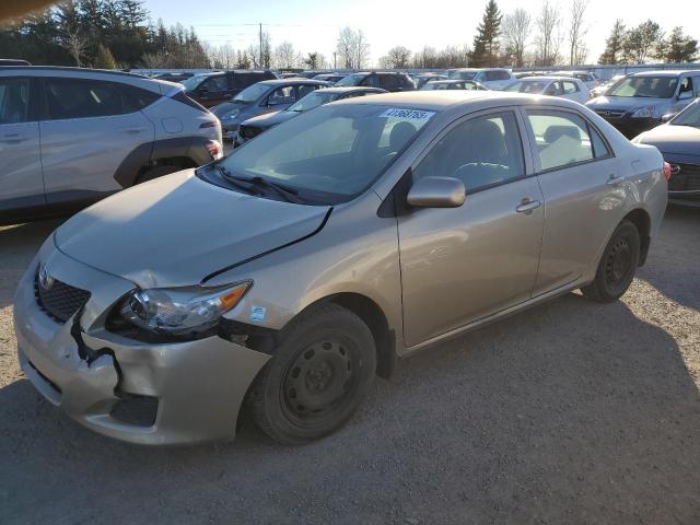 TOYOTA COROLLA BA 2010 with VIN 2T1BU4EE8AC429905 - Photo from auction