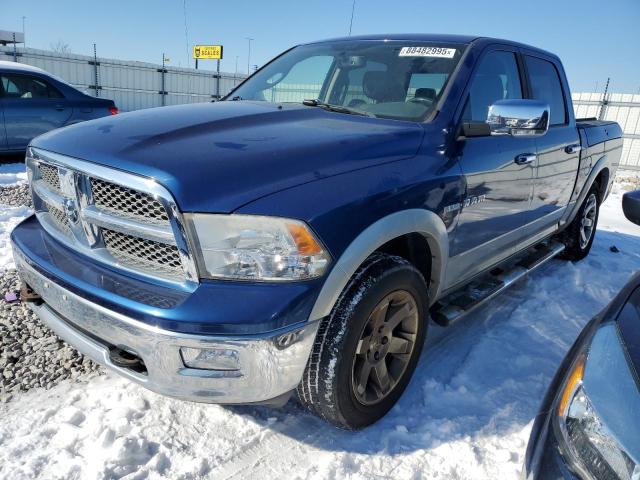 DODGE RAM 1500 2009 with VIN 1D3HV13T39J529134 - Photo from auction