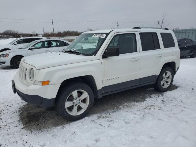 JEEP PATRIOT 2016 with VIN 1C4NJRAB9GD683133 - Photo from auction