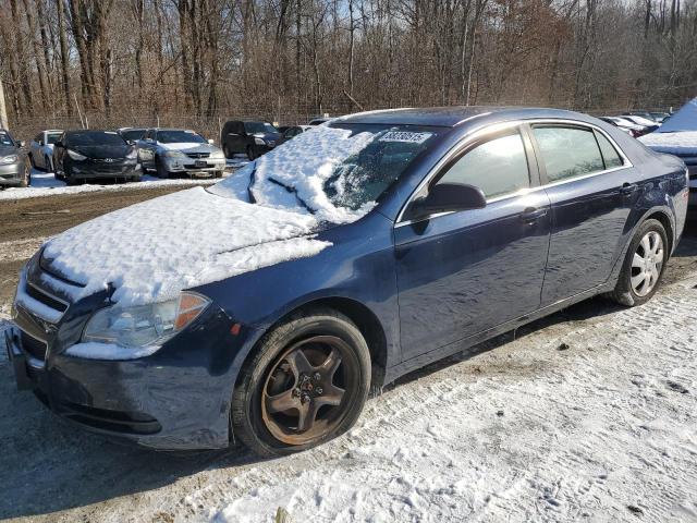 CHEVROLET MALIBU LS 2011 with VIN 1G1ZA5EU7BF353373 - Photo from auction
