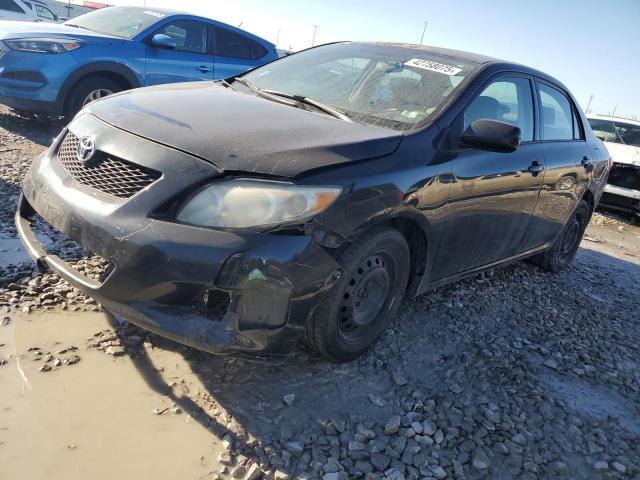 TOYOTA COROLLA BA 2010 with VIN 1NXBU4EEXAZ281853 - Photo from auction
