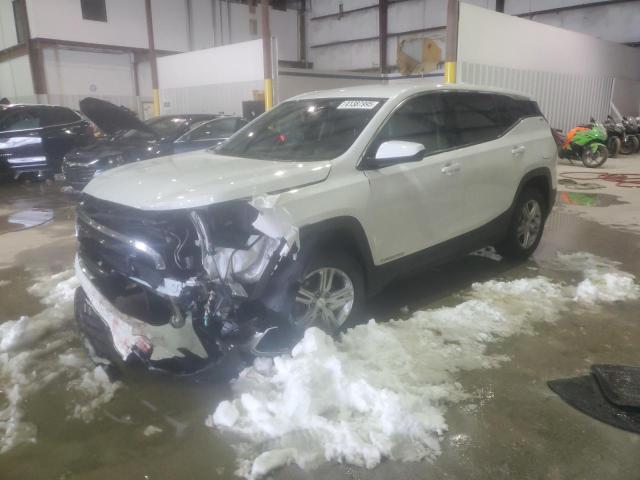 GMC TERRAIN SL 2020 with VIN 3GKALTEV4LL172738 - Photo from auction