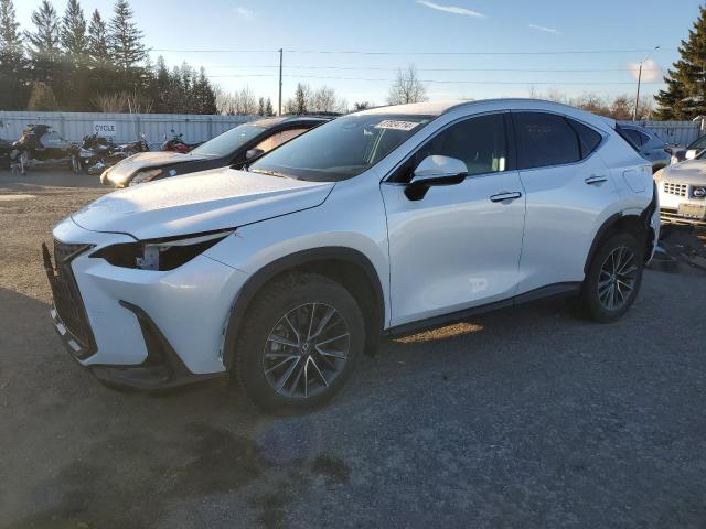 LEXUS NX 250 2022 with VIN 2T2ADCEZ8NC002363 - Photo from auction