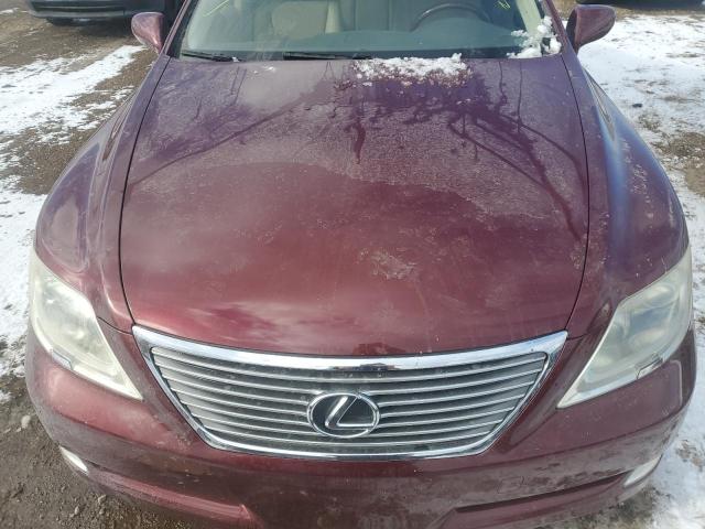 Photo 11 from auction – 2008 LEXUS LS 460 with VIN JTHBL46F685053981