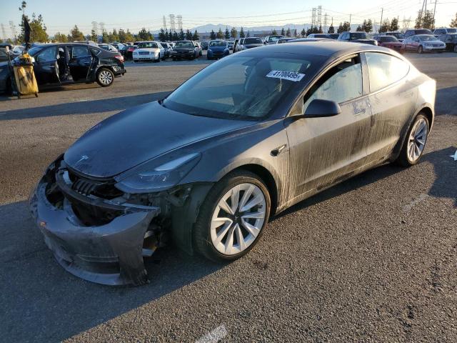 TESLA MODEL 3 2023 with VIN 5YJ3E1EA1PF516126 - Photo from auction
