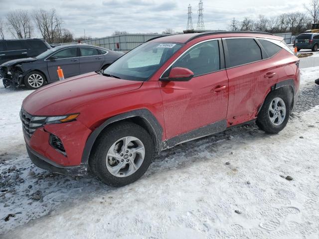 HYUNDAI TUCSON SEL 2023 with VIN 5NMJBCAE5PH218696 - Photo from auction