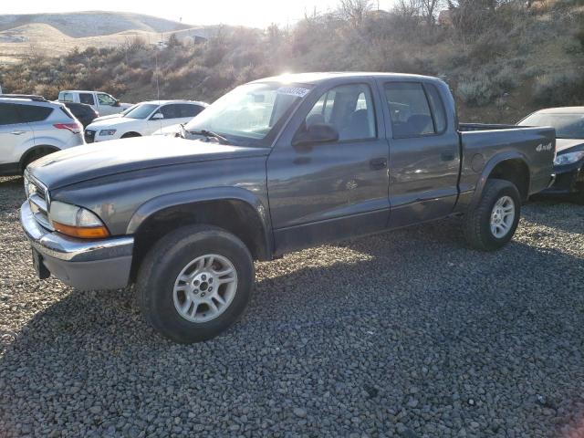 DODGE DAKOTA QUA 2004 with VIN 1D7HG48N14S509987 - Photo from auction