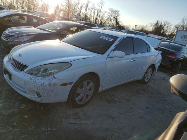 LEXUS ES 330 2006 with VIN JTHBA30G565168635 - Photo from auction