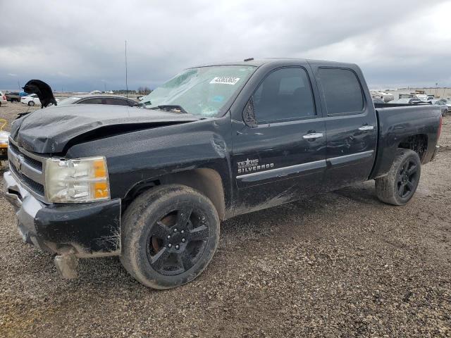 CHEVROLET SILVERADO 2011 with VIN 3GCPCSE0XBG137813 - Photo from auction