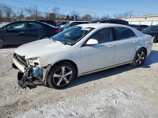 CHEVROLET MALIBU 1LT 2011 with VIN 1G1ZC5E15BF305659 - Photo from auction