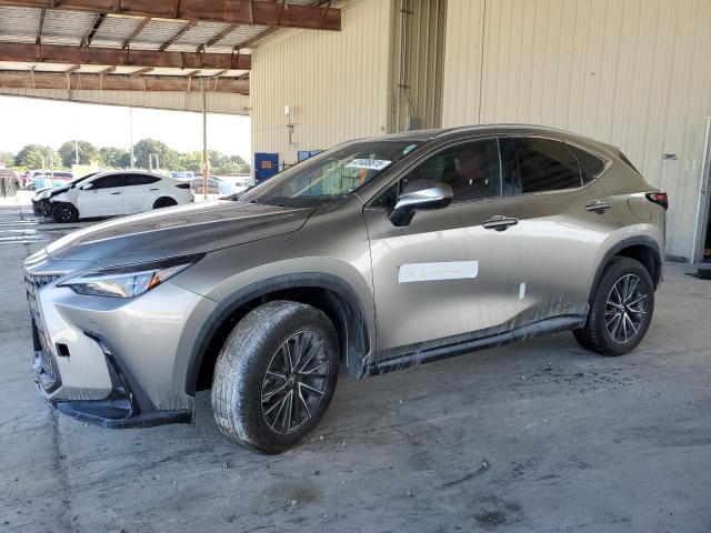 LEXUS NX 250 PRE 2024 with VIN 2T2GDCAZ9RC013295 - Photo from auction