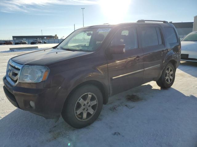 HONDA PILOT TOUR 2010 with VIN 5FNYF4H95AB504901 - Photo from auction