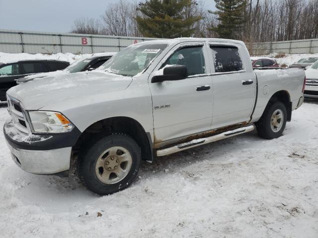 DODGE RAM 1500 2009 with VIN 1D3HV13P99S799448 - Photo from auction