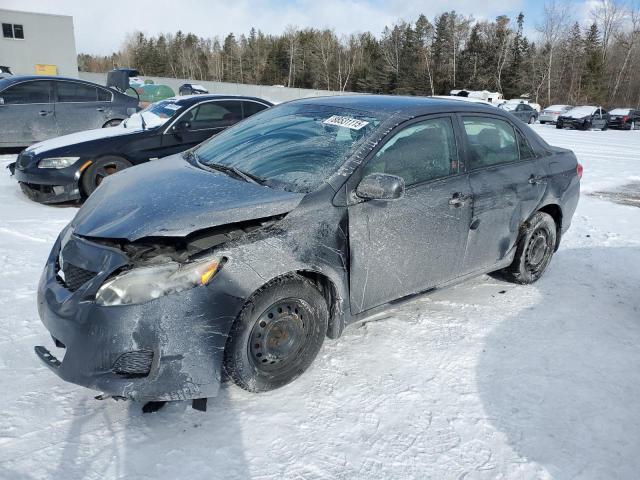 TOYOTA COROLLA BA 2010 with VIN 2T1BU4EE3AC333521 - Photo from auction