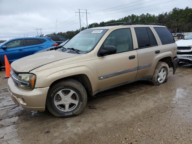 Photo 1 from auction – 2004 CHEVROLET TRAILBLAZE with VIN 1GNDT13S042166841