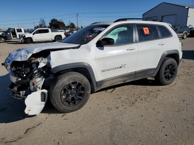 JEEP CHEROKEE L 2022 with VIN 1C4PJMCX5ND556560 - Photo from auction