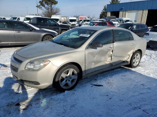 CHEVROLET MALIBU LS 2011 with VIN 1G1ZB5E12BF224203 - Photo from auction