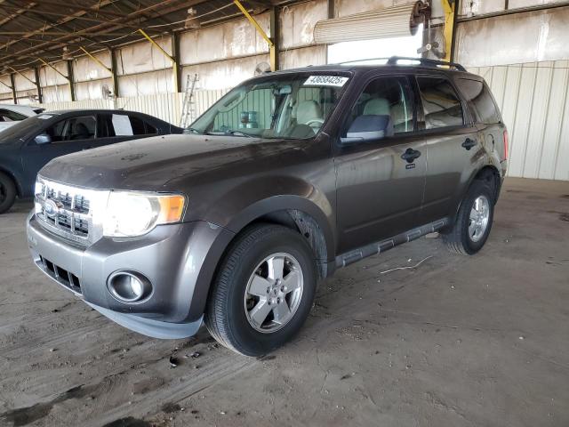 FORD ESCAPE XLT 2012 with VIN 1FMCU0DG4CKA44192 - Photo from auction