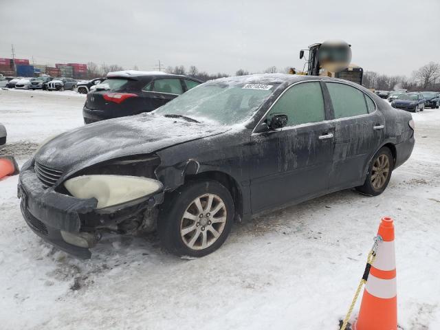 LEXUS ES 330 2004 with VIN JTHBA30G345037992 - Photo from auction