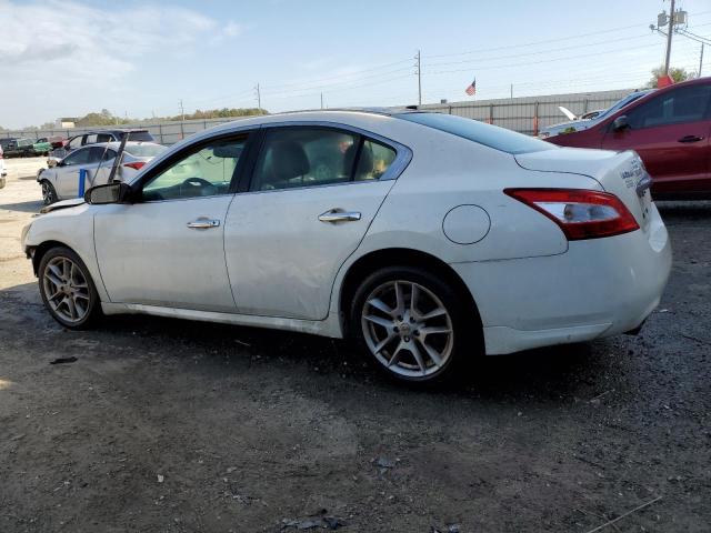 Photo 2 from auction – 2009 NISSAN MAXIMA S with VIN 1N4AA51E89C842966