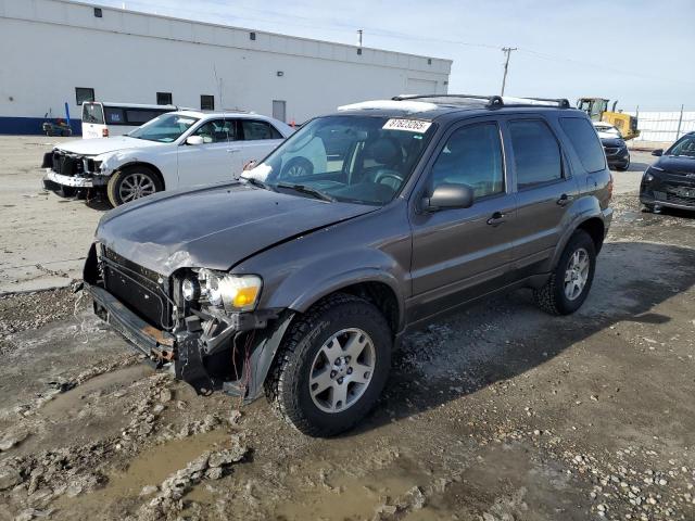 Photo 1 from auction – 2005 FORD ESCAPE LIM with VIN 1FMYU941X5KD40987