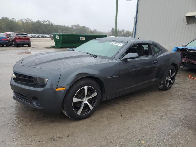 CHEVROLET CAMARO LS 2010 with VIN 2G1FA1EV5A9156679 - Photo from auction