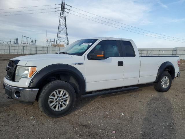 FORD F150 SUPER 2013 with VIN 1FTVX1EF9DKG12096 - Photo from auction