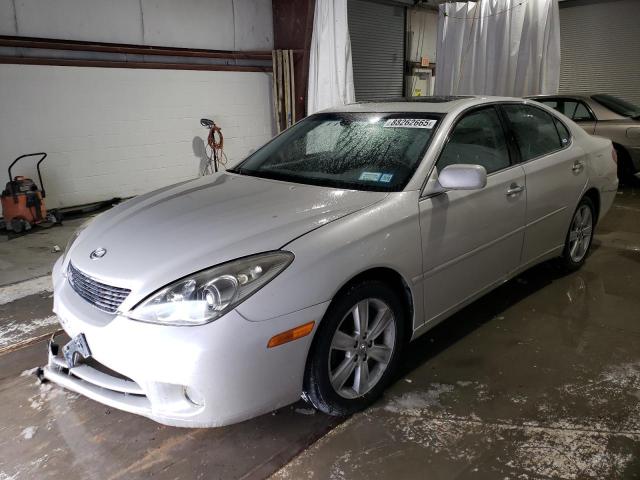 LEXUS ES 330 2005 with VIN JTHBA30G755072469 - Photo from auction