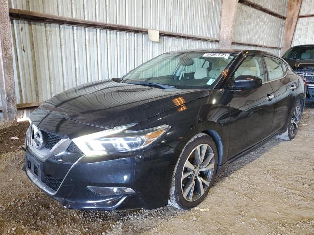 NISSAN MAXIMA 3.5 2017 with VIN 1N4AA6AP6HC433533 - Photo from auction