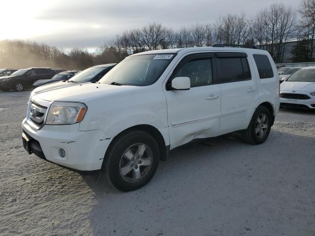 HONDA PILOT EXL 2010 with VIN 5FNYF4H55AB008672 - Photo from auction