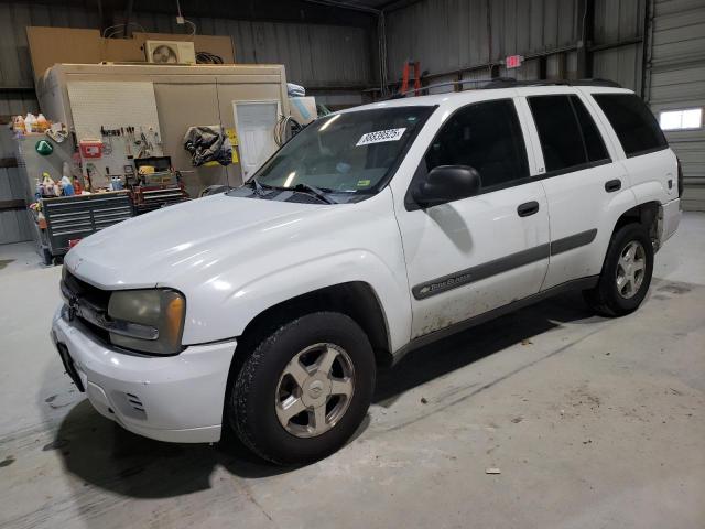 CHEVROLET TRAILBLAZE 2004 with VIN 1GNDT13S642118647 - Photo from auction