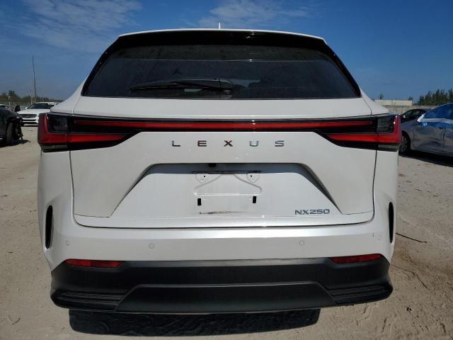 Photo 6 from auction – 2024 LEXUS NX 250 PRE with VIN 2T2GDCAZ8RC010694
