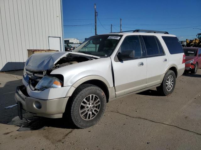 FORD EXPEDITION 2010 with VIN 1FMJU1J58AEA64456 - Photo from auction