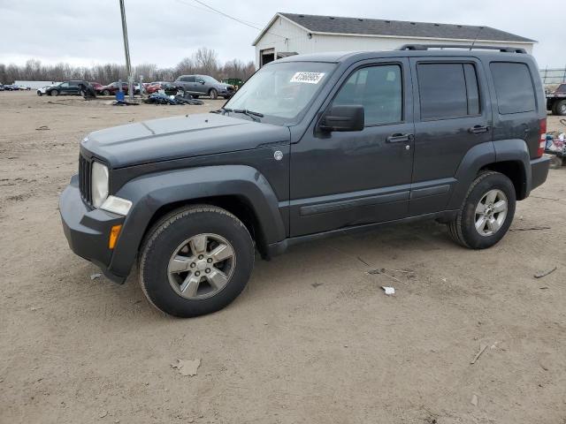 JEEP LIBERTY SP 2011 with VIN 1J4PN2GK0BW535956 - Photo from auction