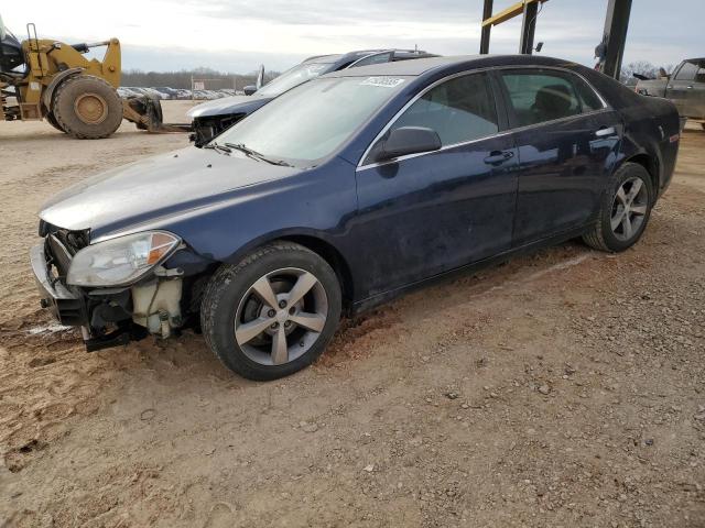 CHEVROLET MALIBU LS 2011 with VIN 1G1ZA5EU2BF157874 - Photo from auction