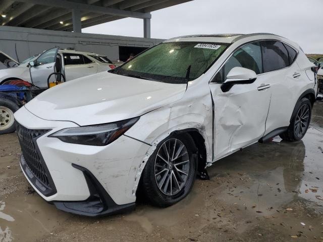 LEXUS NX 250 PRE 2024 with VIN 2T2GDCAZ2RC012246 - Photo from auction