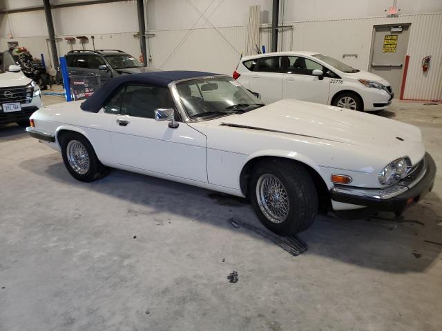 Photo 4 from auction – 1989 JAGUAR XJS with VIN SAJNV4847KC164497