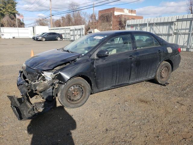 TOYOTA COROLLA BA 2010 with VIN 2T1BU4EE0AC520666 - Photo from auction