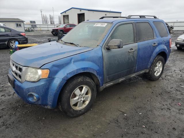 FORD ESCAPE XLT 2011 with VIN 1FMCU9DG7BKA44674 - Photo from auction